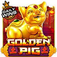 permainan slot Golden Pig™ provider Pragmatic Play dari situs slot gacor MEONGTOTO