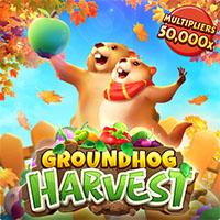 permainan slot Groundhog Harvert provider PG Soft dari situs slot gacor MEONGTOTO